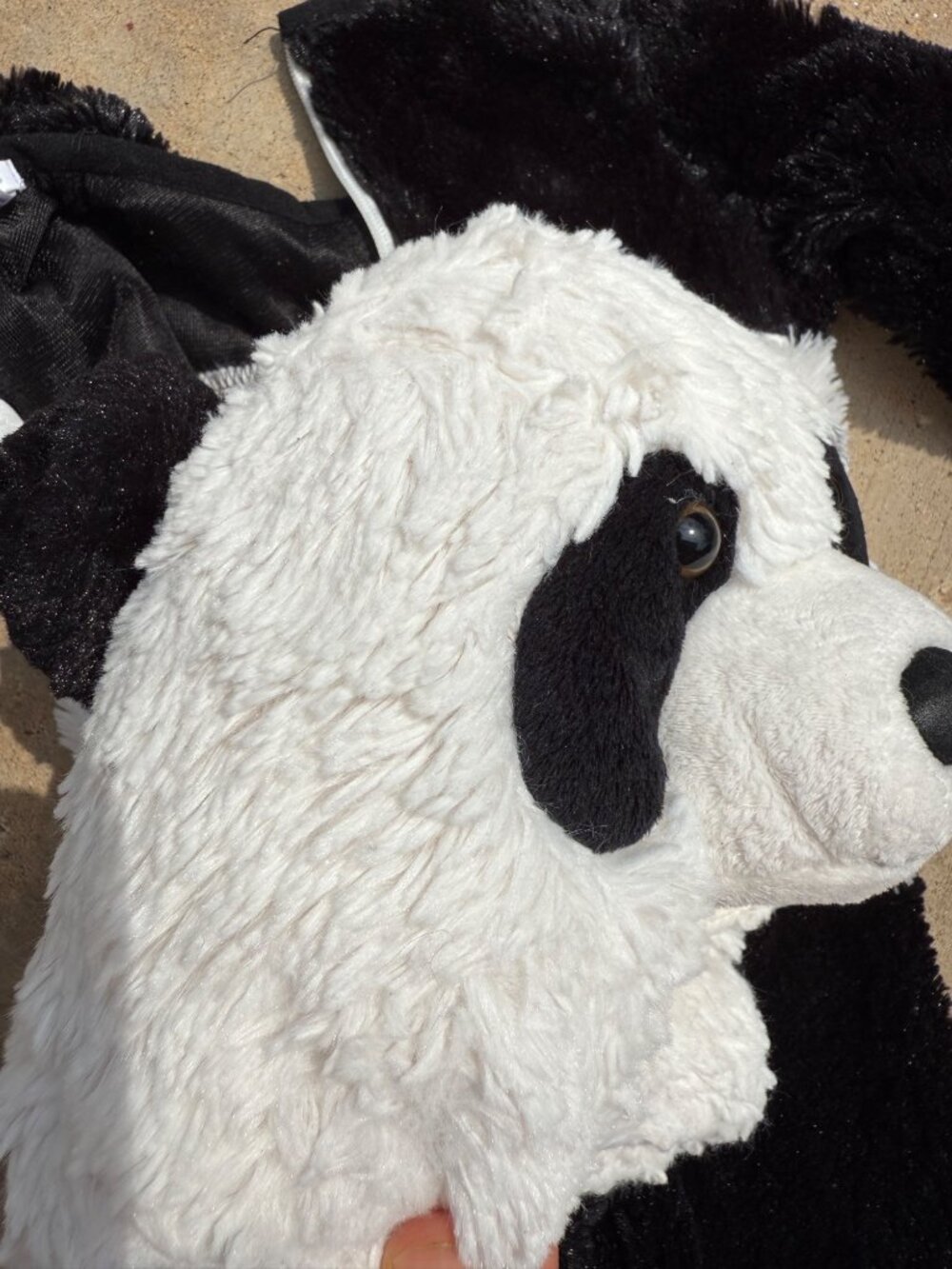 Pottery Barn Kids Panda Bear Costume Toddler 12-24 Mos Halloween Dress Up Baby - Picture 11 of 11
